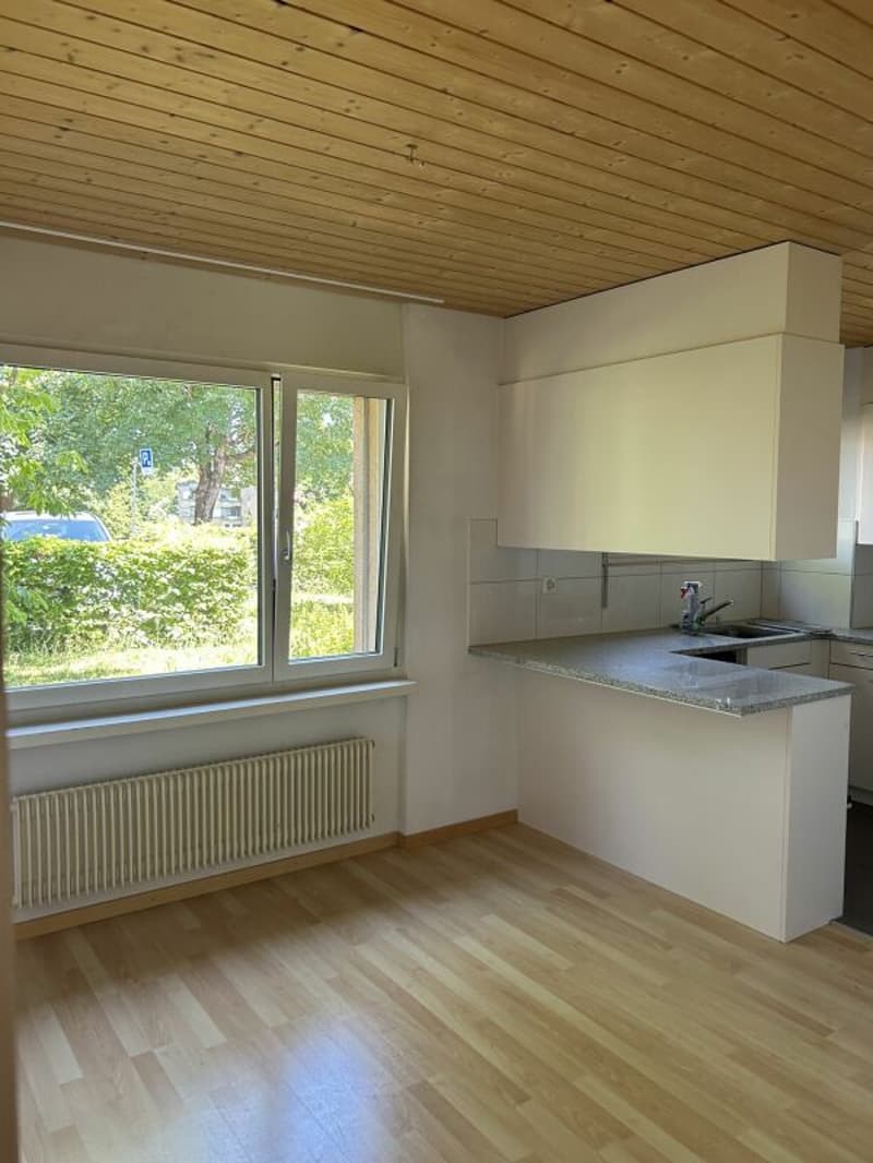 Geräumige Familien-Wohnung in Dübendorf (3)