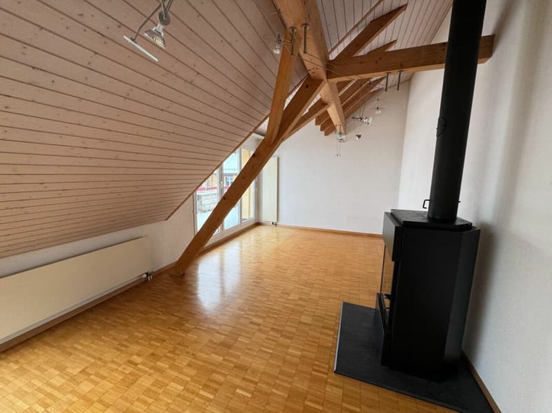 Charmante 3.5 Zimmer Attika-Wohnung zu vermieten (2)