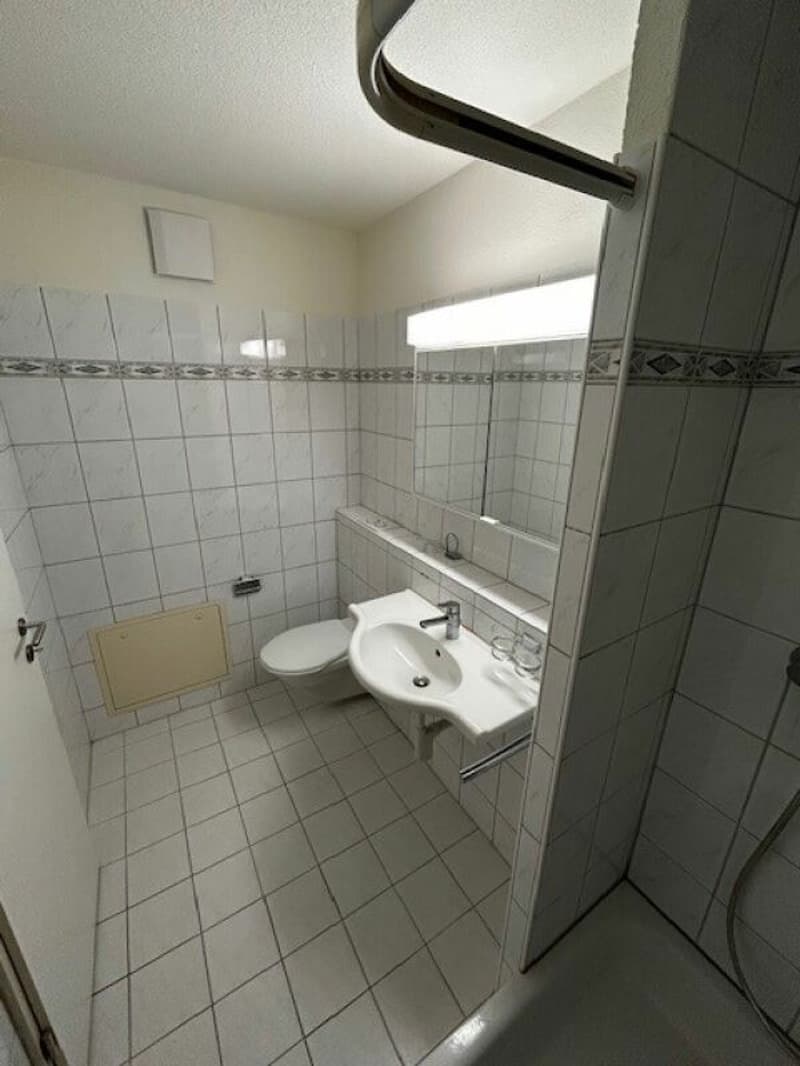 Charmante 3.5 Zimmer Attika-Wohnung zu vermieten (6)