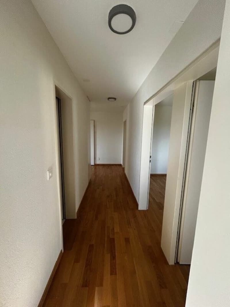 Charmante 3.5 Zimmer Attika-Wohnung zu vermieten (5)