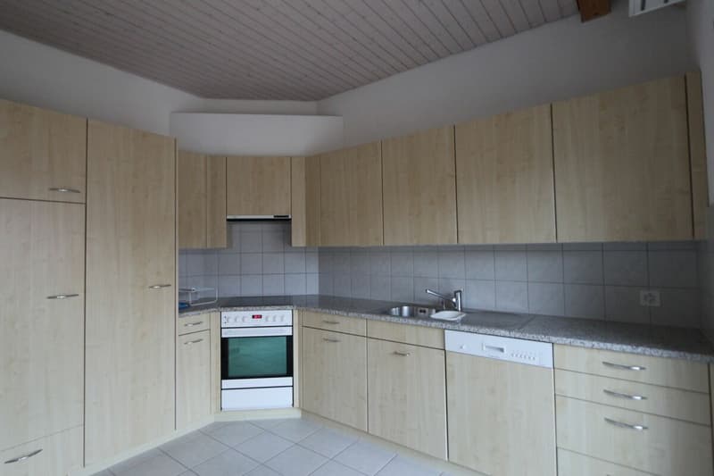 Charmante 3.5 Zimmer Attika-Wohnung zu vermieten (4)