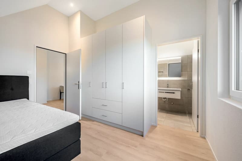 Möblierte 2.5 Attika-Wohnung im Herzen von Oerlikon (5)