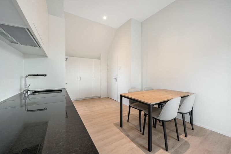Möblierte 2.5 Attika-Wohnung im Herzen von Oerlikon (3)