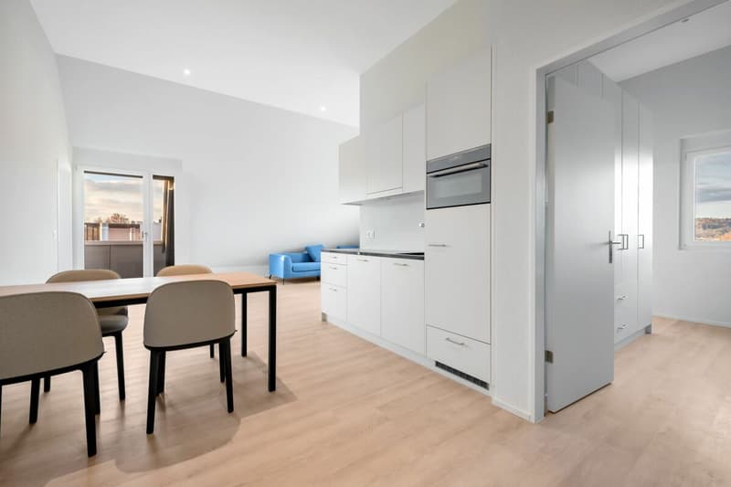 Möblierte 2.5 Attika-Wohnung im Herzen von Oerlikon (2)
