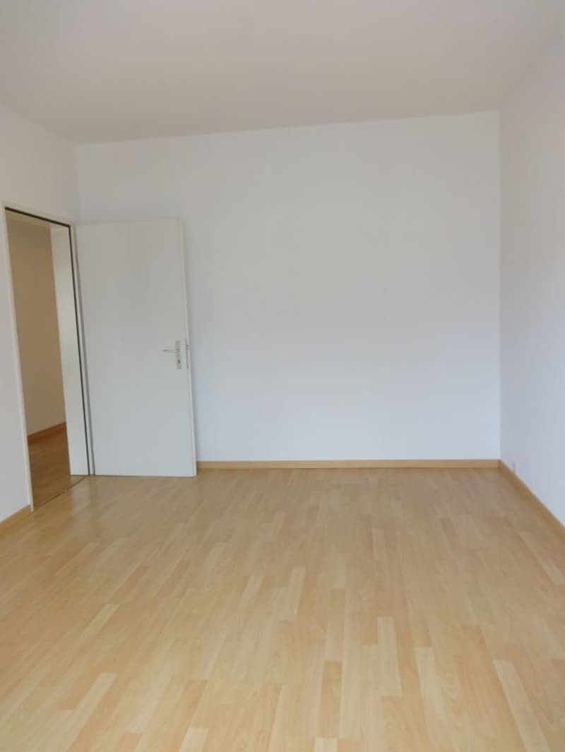 Attraktive 4-Zimmer-Wohnung in Winterthur-Wülflingen (3)