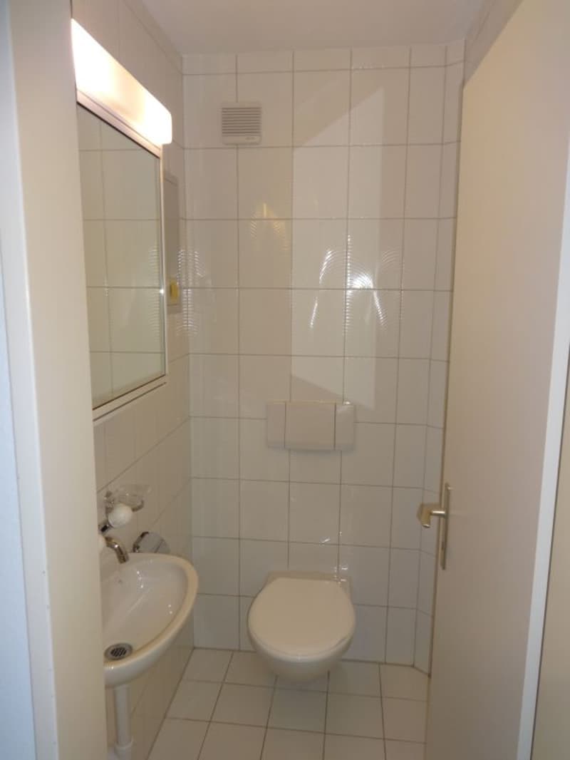 Attraktive 4-Zimmer-Wohnung in Winterthur-Wülflingen (8)