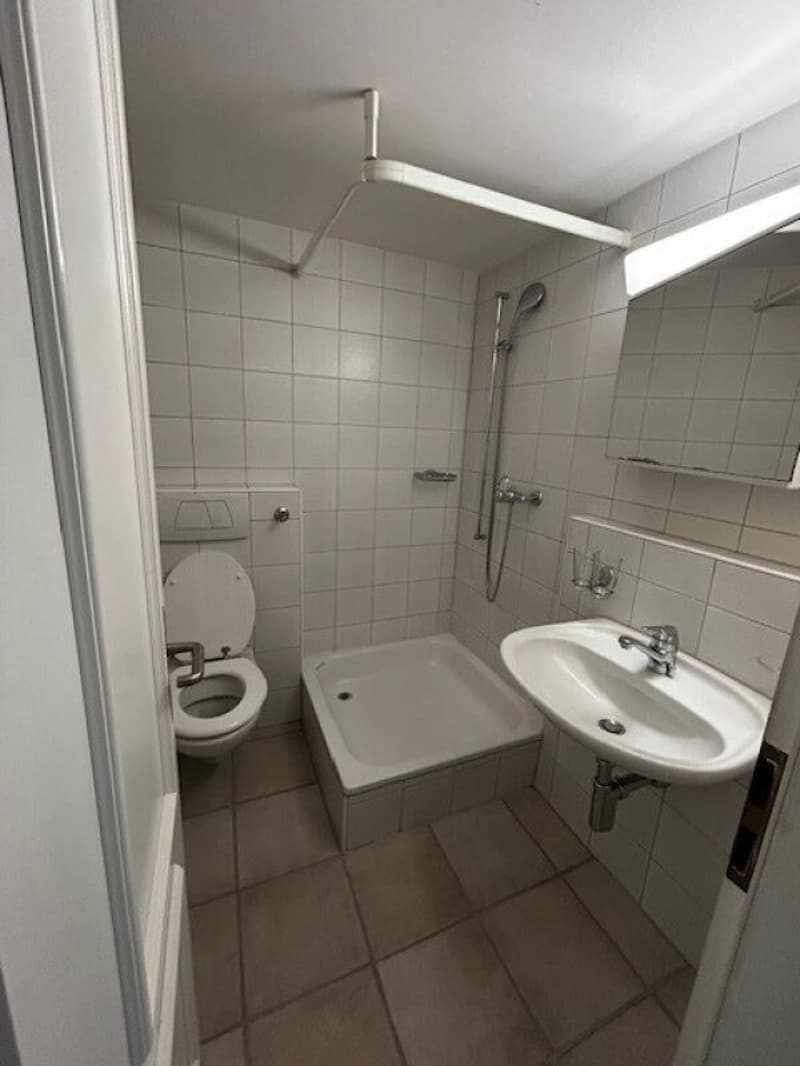 Sonnige 1-Zimmer Wohnung im 1. OG (3)
