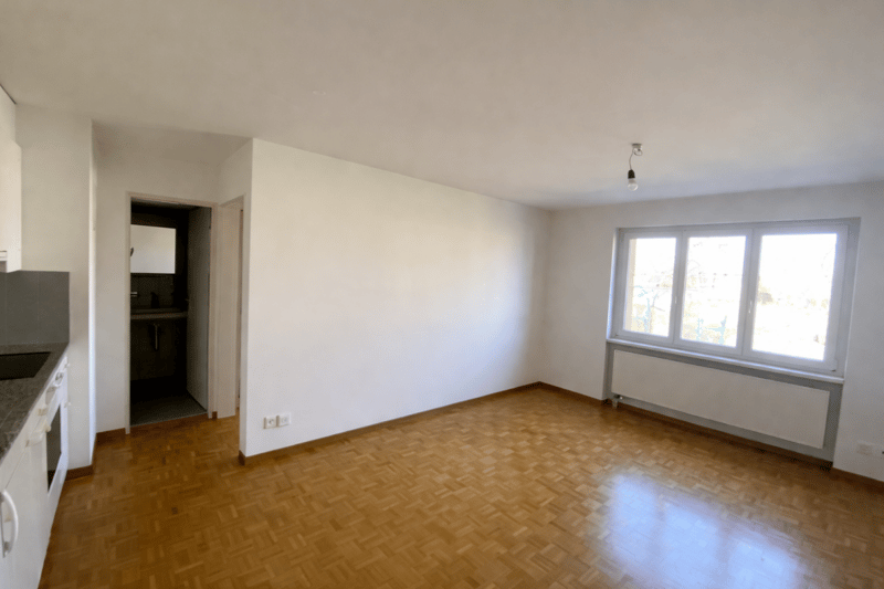 Helle und freundliche 2-Zimmer-Wohnung in West-Oerlikon (2)