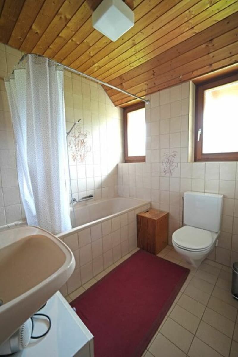 Urchige 3.5 Zimmer Wohnung in Uster (6)