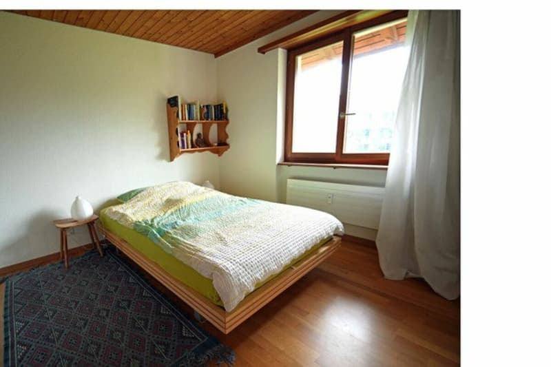 Urchige 3.5 Zimmer Wohnung in Uster (5)