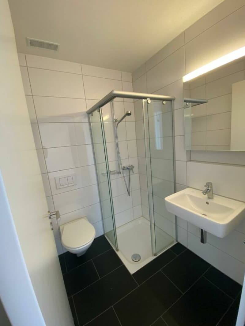 Moderne 3.5 Zimmer-Wohnung an top Lage (7)