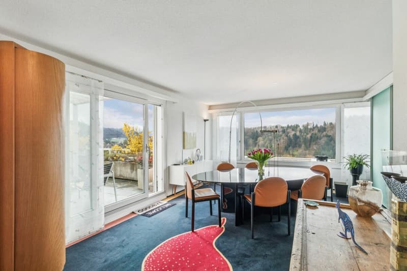 Ferienfeeling garantiert - Grosszügige Terrassenwohnung mit Weitblick (5)