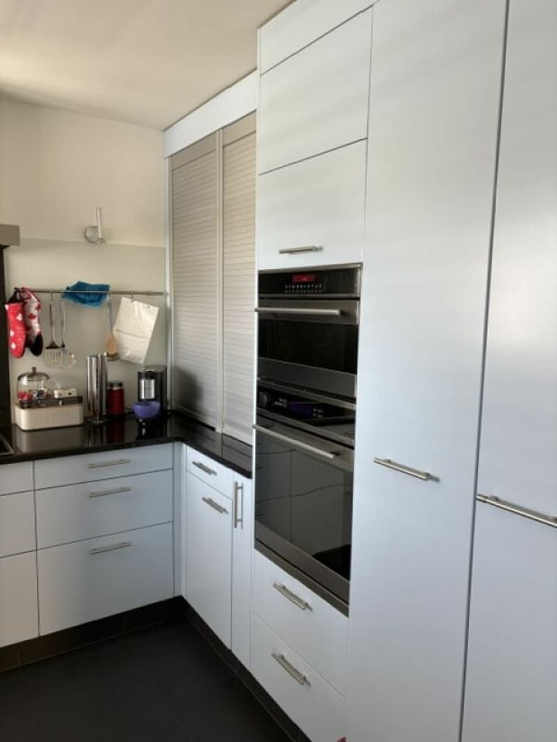 Ferienfeeling garantiert - Grosszügige Terrassenwohnung mit Weitblick (11)