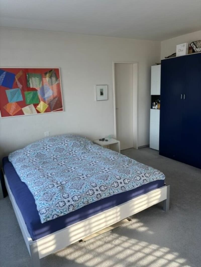 Ferienfeeling garantiert - Grosszügige Terrassenwohnung mit Weitblick (15)