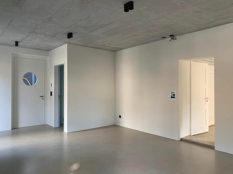 Ihr neues Zuhause in Zürich-Enge - stilvoll, urban und voller Charakter (12)