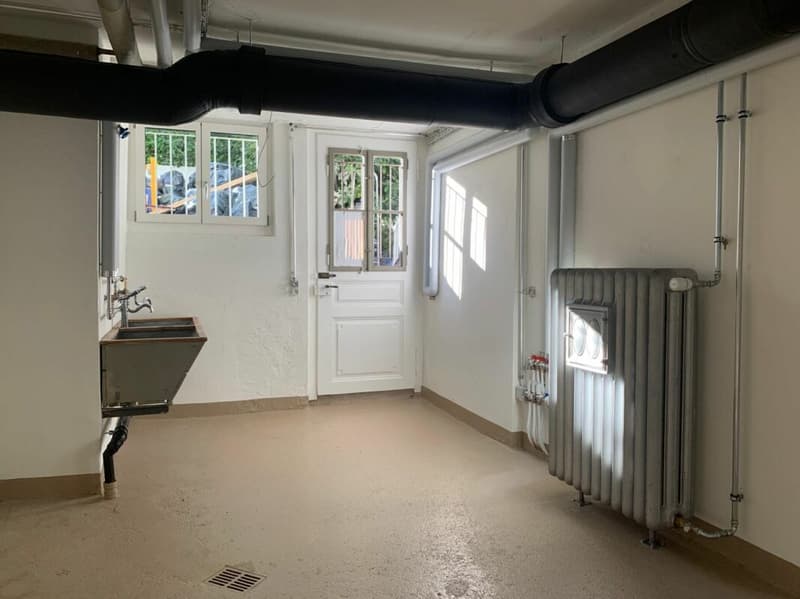 Ihr neues Zuhause in Zürich-Enge - stilvoll, urban und voller Charakter (15)