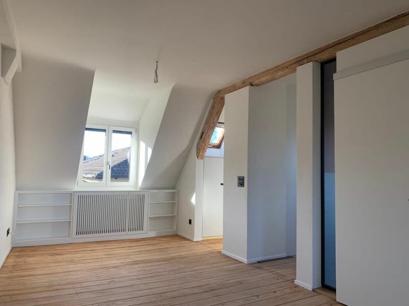 Ihr neues Zuhause in Zürich-Enge - stilvoll, urban und voller Charakter (8)