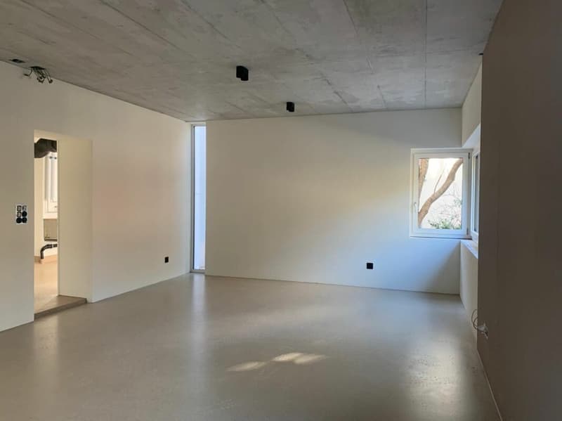 Ihr neues Zuhause in Zürich-Enge - stilvoll, urban und voller Charakter (13)