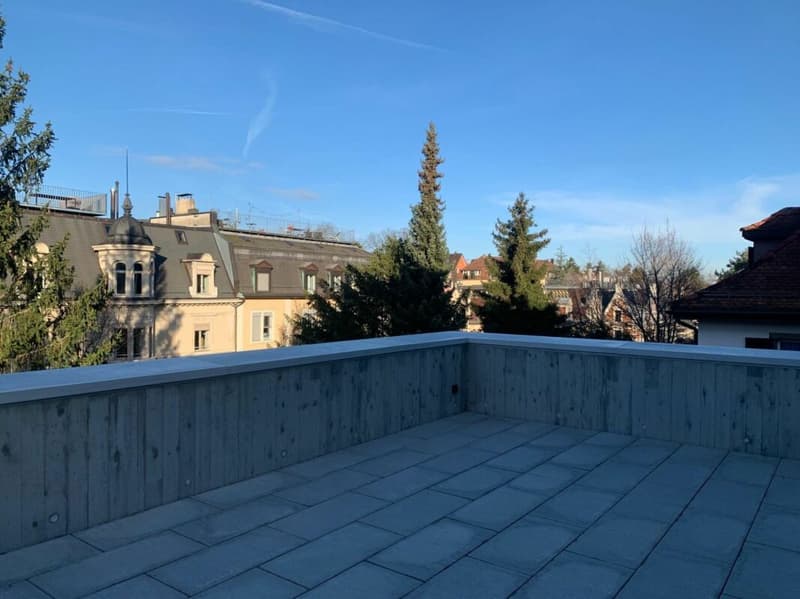 Ihr neues Zuhause in Zürich-Enge - stilvoll, urban und voller Charakter (20)