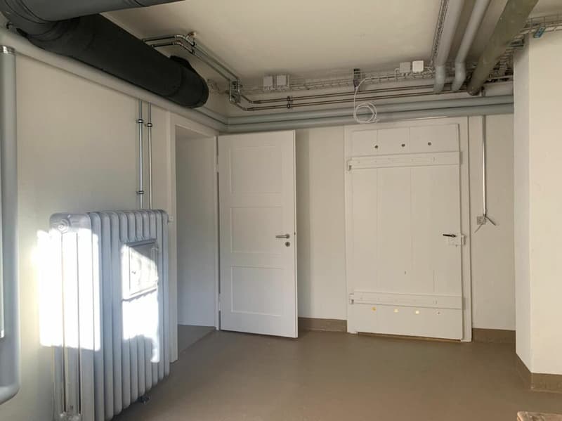 HISTORISCHER CHARME TRIFFT MODERNE ARCHITEKTUR - EINZIGARTIGES STADTHAUS IM KREIS 2 (25)