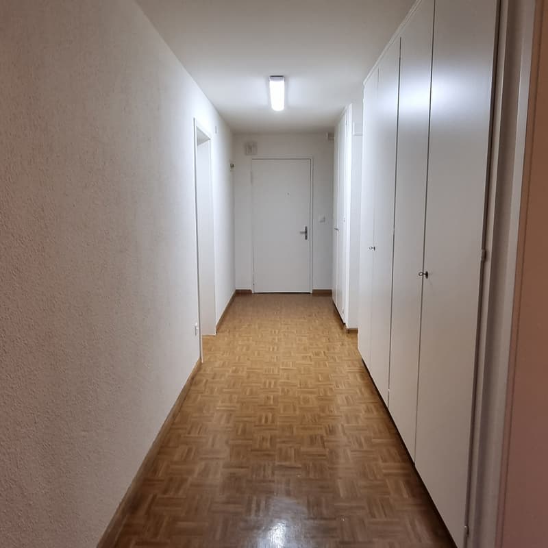 Grosszügige und komfortable 4.5-Zimmerwohnung mit Terrasse (4)