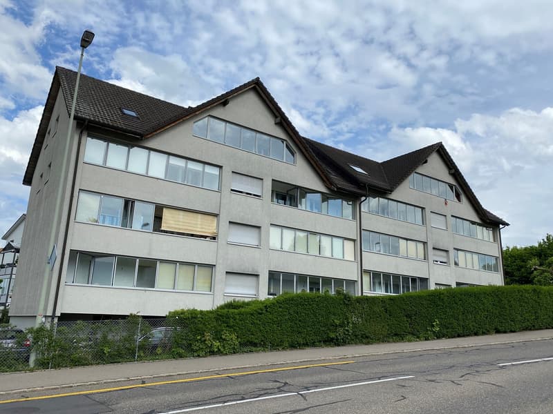 grosse helle Dachwohnung mit viel Charme (14)