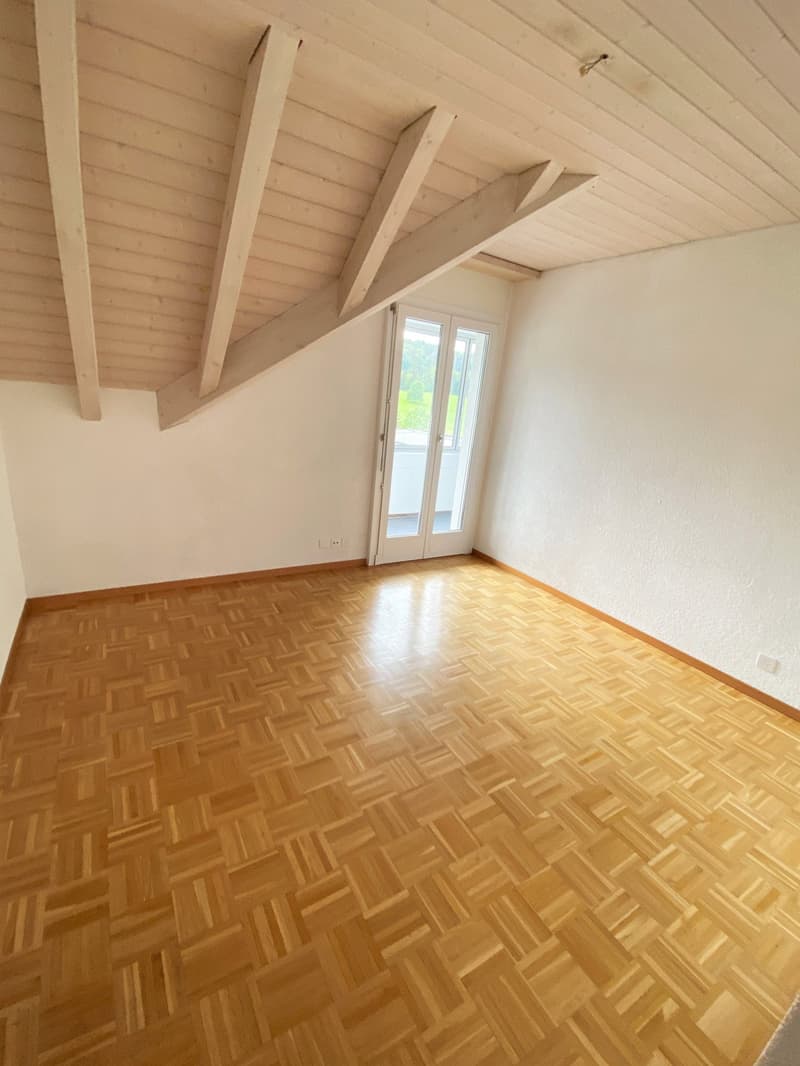 grosse helle Dachwohnung mit viel Charme (10)