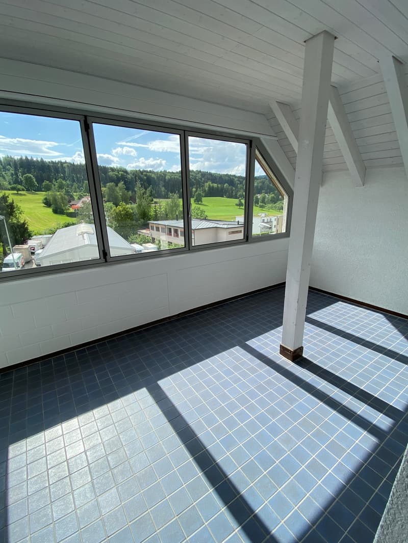 grosse helle Dachwohnung mit viel Charme (12)