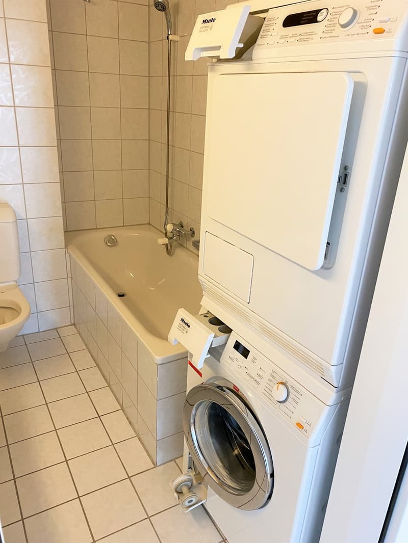 grosse helle Dachwohnung mit viel Charme (6)