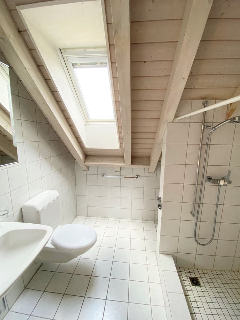 grosse helle Dachwohnung mit viel Charme (4)