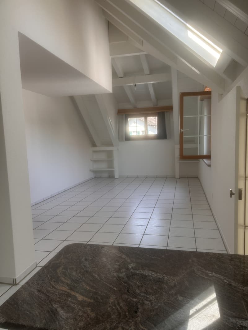 Helle 2.5-Zimmer-Wohnung in Fehraltorf (2)