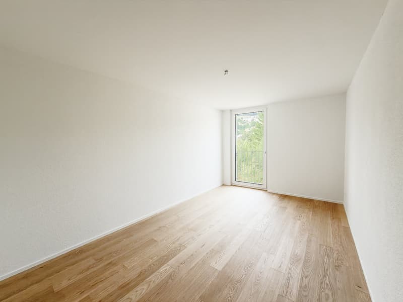 Erstvermietung - Grosszügige 4.5 Zimmer-Neubauwohnungen an ruhiger Lage (10)