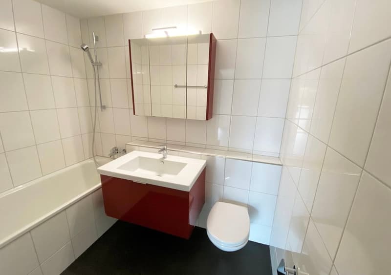 Wohnen im Herzen von Uster (6)