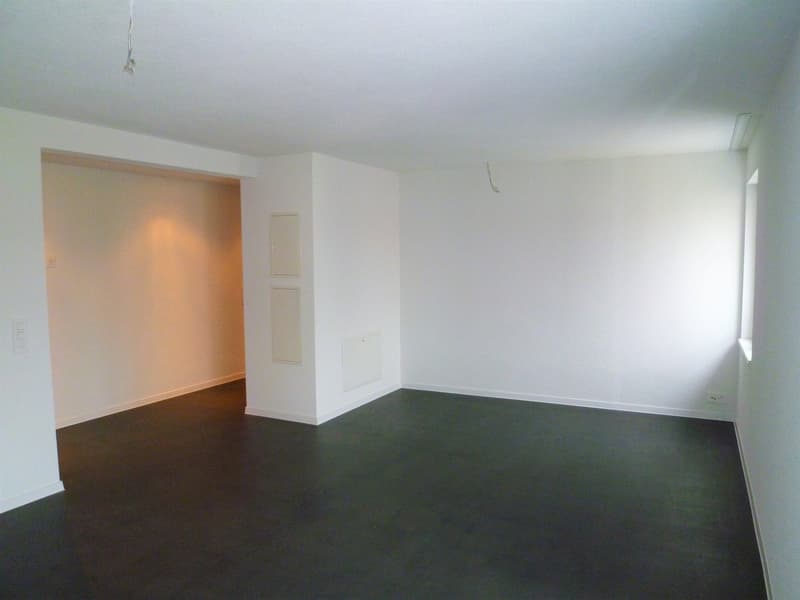 Wohnen im Herzen von Uster (3)