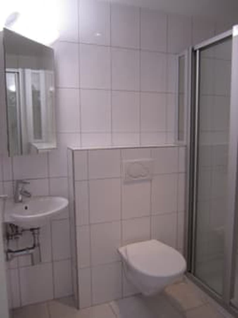 Attraktive 4-Zimmerwohnung in ruhigem Wohnquartier (4)