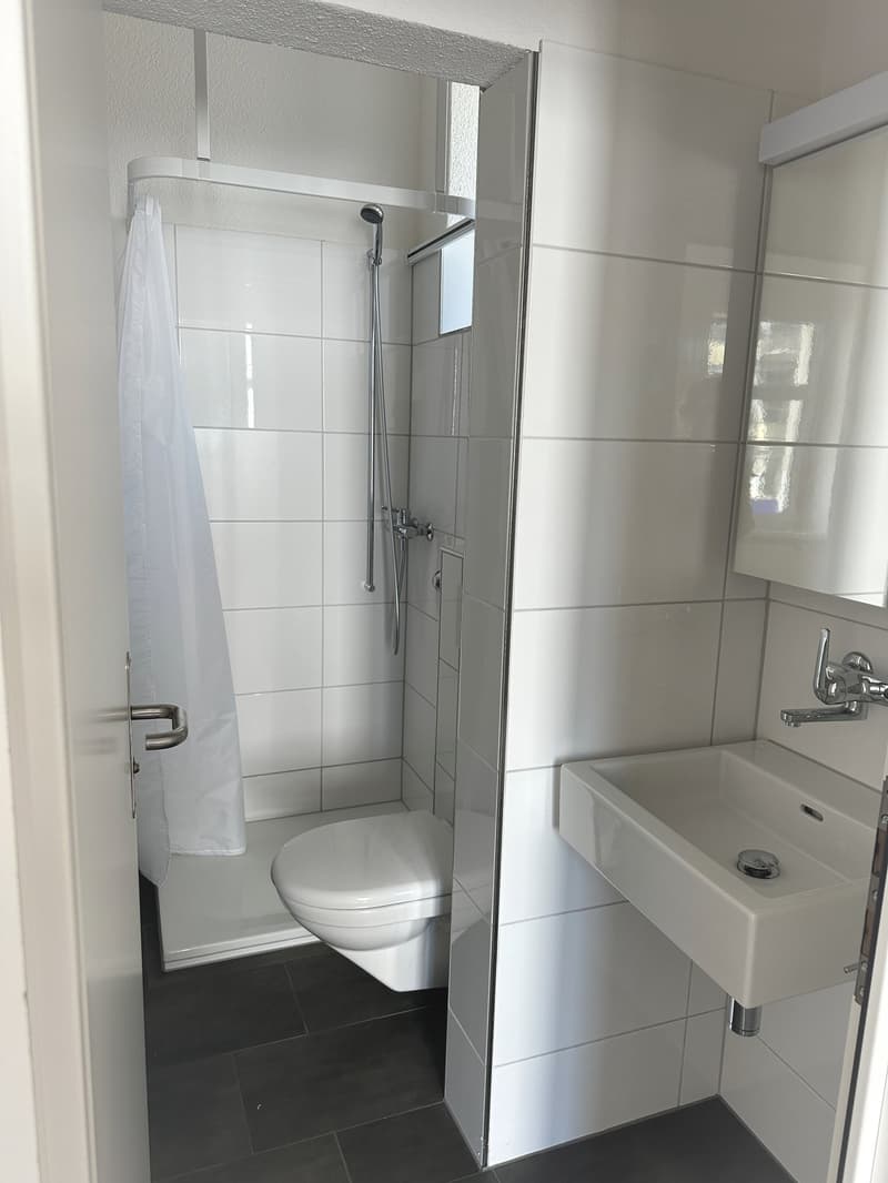 Als Wohnung oder stilles Gewerbe geeignet (6)