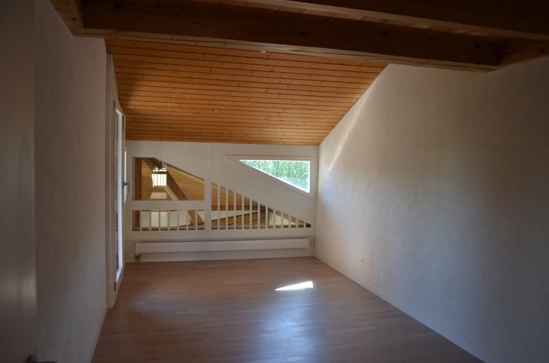 Ein Zuhause für alle, die grosszügiges Wohnen und eine privilegierte Lage schätzen. (17)