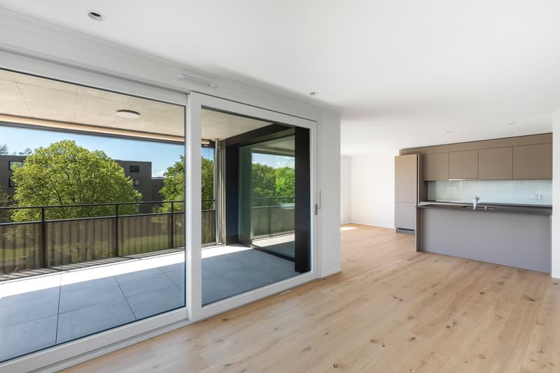 Large sliding glass doors leading to balcony, hardwood floors, modern cabinets, countertop with sink