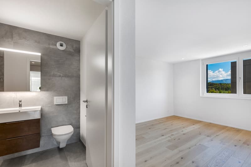 Modern bathroom with white walls, wooden floors, large windows, mirror, sink, toilet