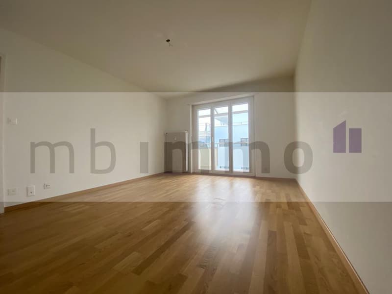 Appartement 3 pièces à louer avec balcon (3)