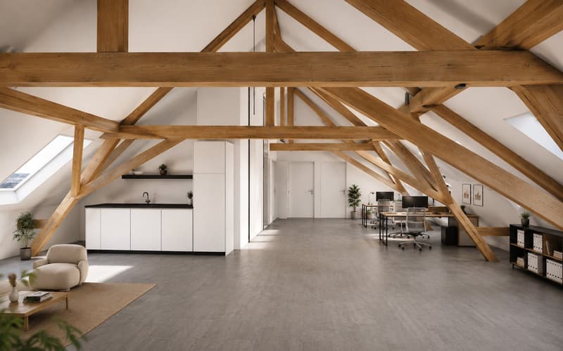 Bureaux à louer au centre de Farvagny (1)