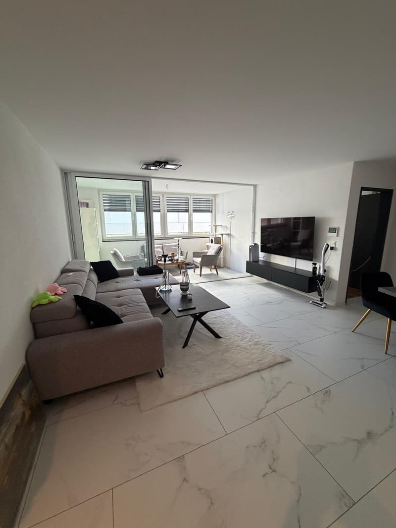 Gemütliche 2-Zimmer-Wohnung in Sankt Margrethen (10)