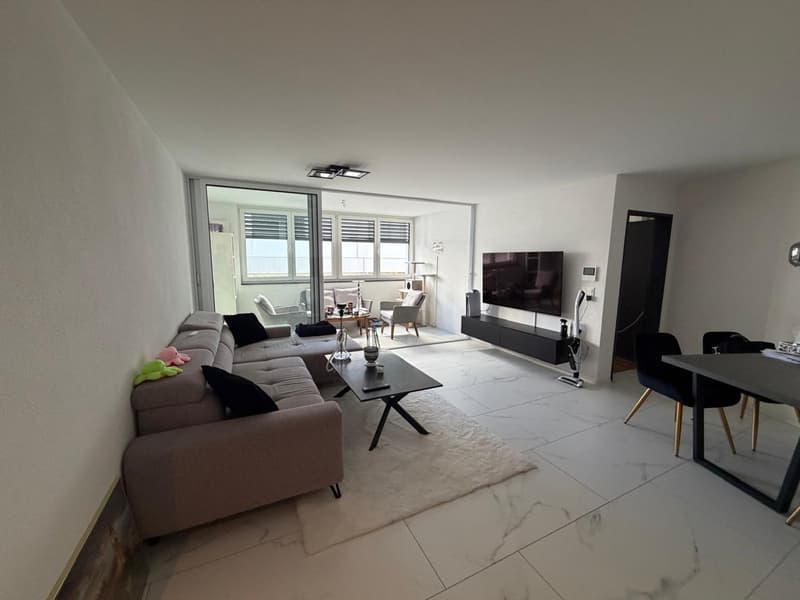 Gemütliche 2-Zimmer-Wohnung in Sankt Margrethen (3)