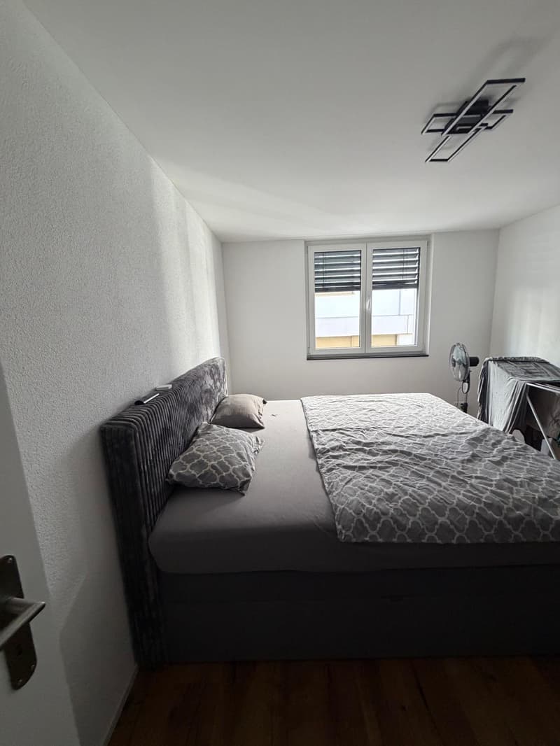 Gemütliche 2-Zimmer-Wohnung in Sankt Margrethen (7)