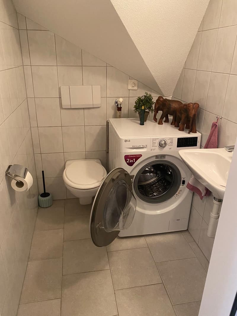 Moderne 4.5-Zimmer-Wohnung mit Balkon in Egnach (3)