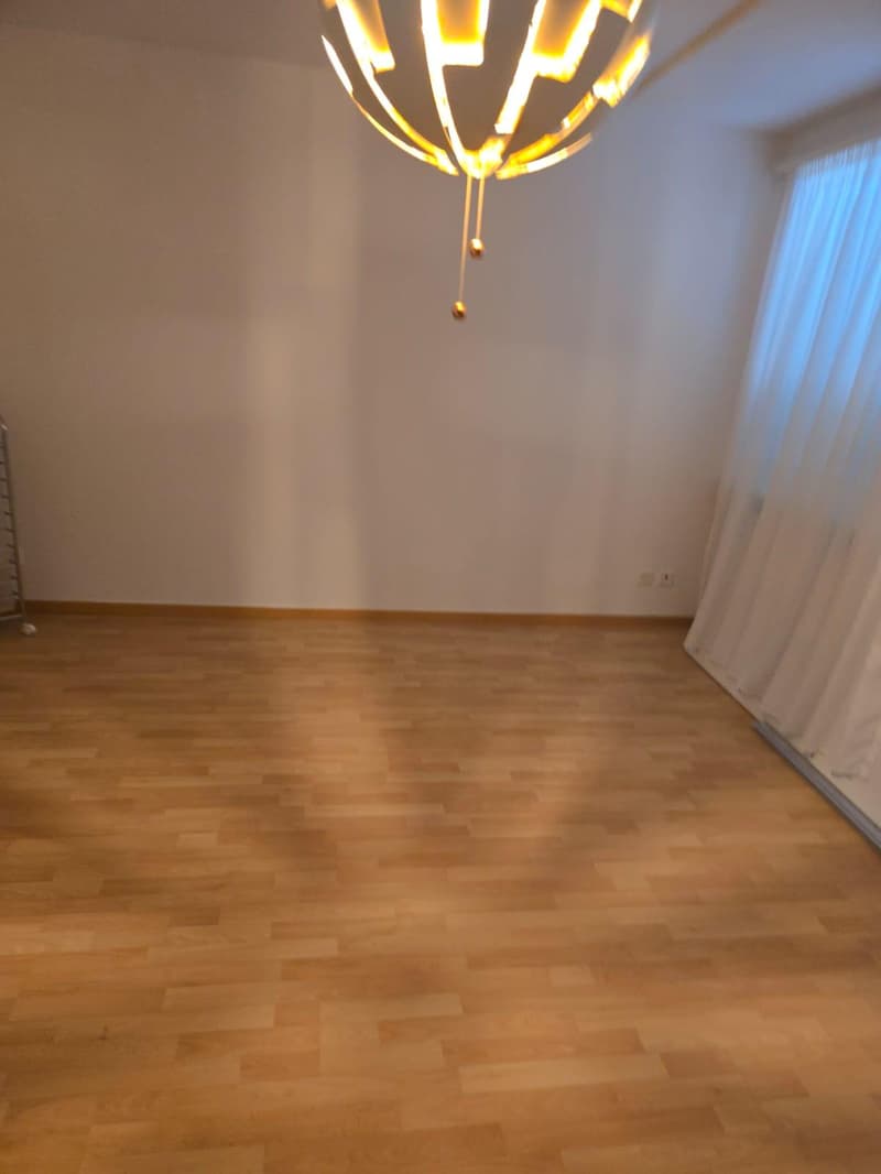 Charmante 3-Zimmer-Wohnung im 3. OG in St. Margrethen – ab sofort verfügbar! (4)