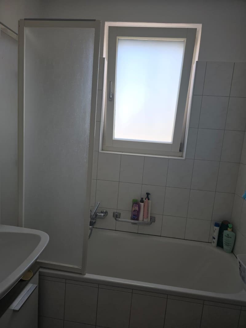 Charmante 3-Zimmer-Wohnung in St. Margrethen (3)