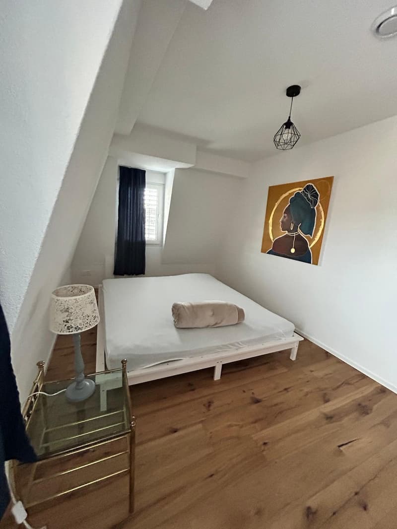 Moderen 3.5 Zimmer- Wohnung (6)