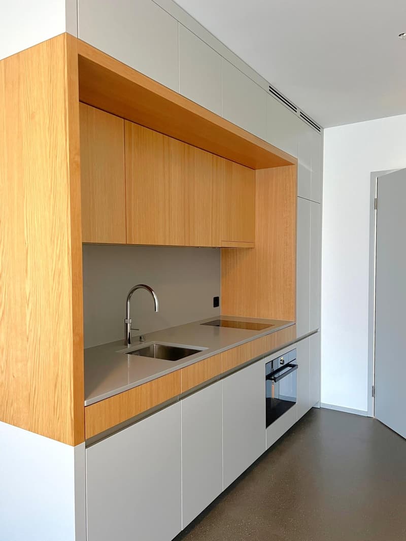 Kompakte 1.0 Zimmerwohnung im 1. OG - ohne Balkon mit Gemeinschaftsraum (2)
