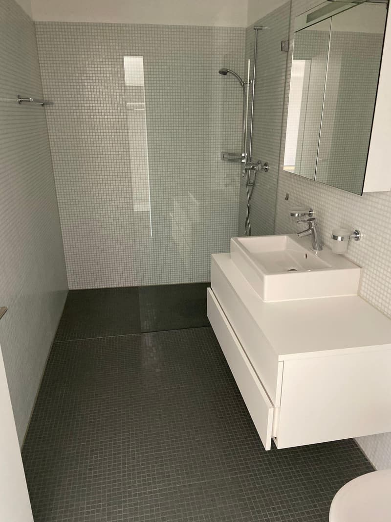 Moderne 2.5-Zimmer-Wohnung mit grosszügigem Balkon (4)